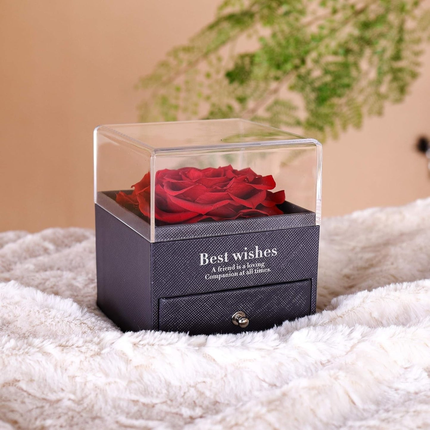 Preserved Rose Necklace: Jewellery Box Gift with 'I Love You' in 100 Languages