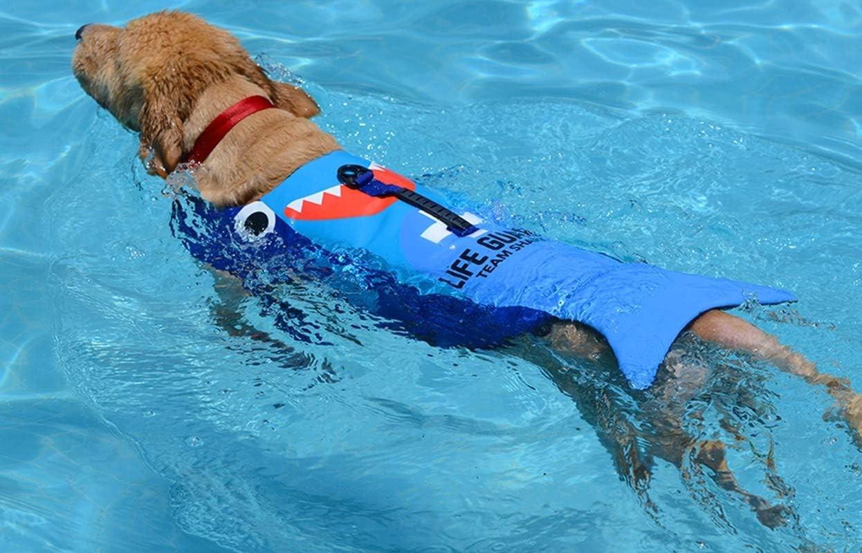 Cartoon Dog Life Jacket, Adjustable High Visibility Easy Grab Float Coat,S to XL