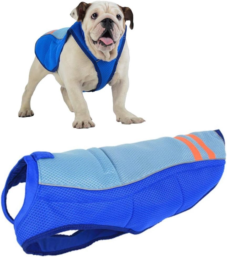 Cartoon Dog Life Jacket, Adjustable High Visibility Easy Grab Float Coat,S to XL
