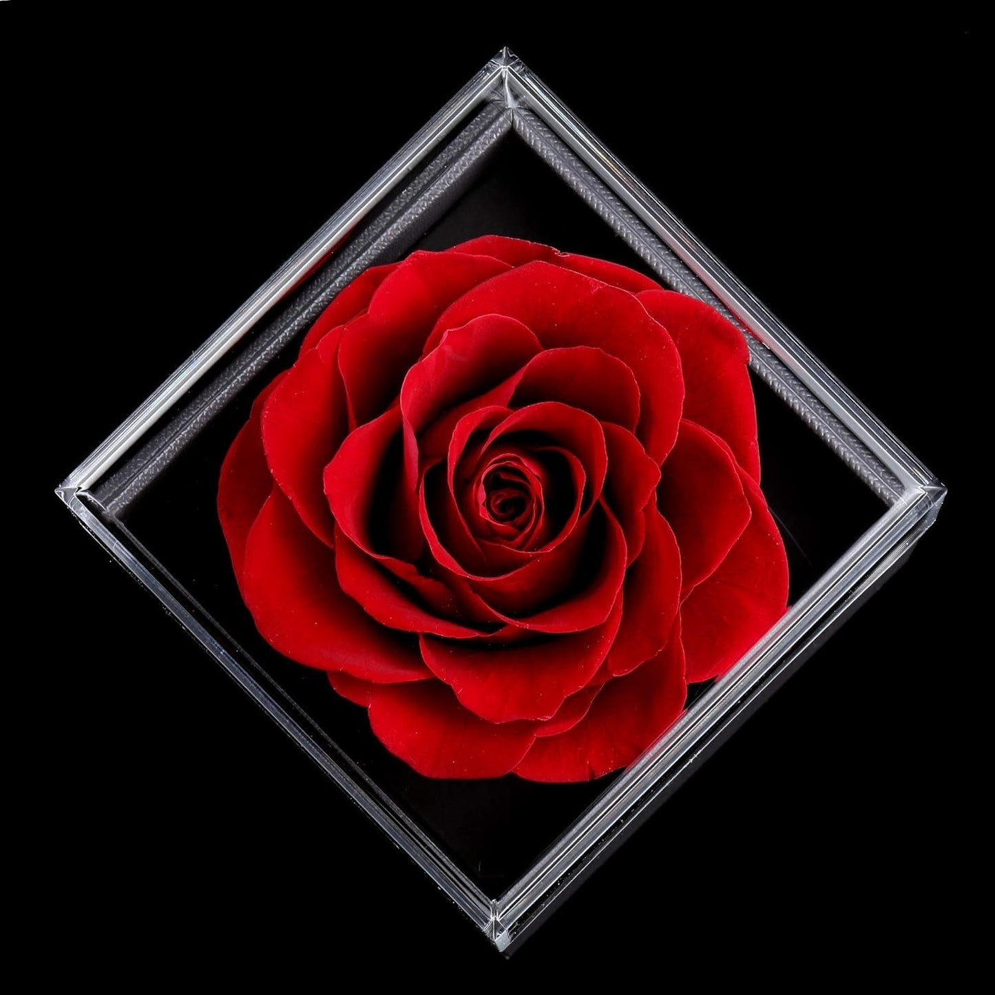 Preserved Rose Necklace: Jewellery Box Gift with 'I Love You' in 100 Languages